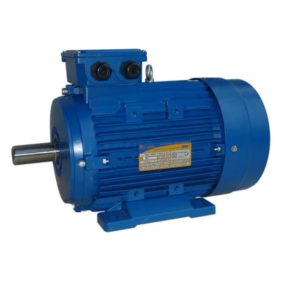 Электродвигатель 5 АИ 132 M6 7.6/1000 IM1081